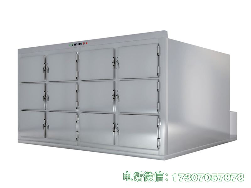 死人冷冻冰箱定制化制冷设计，容量适配遗体存放，替代普通冰箱，满足殡葬低温冻存需求。