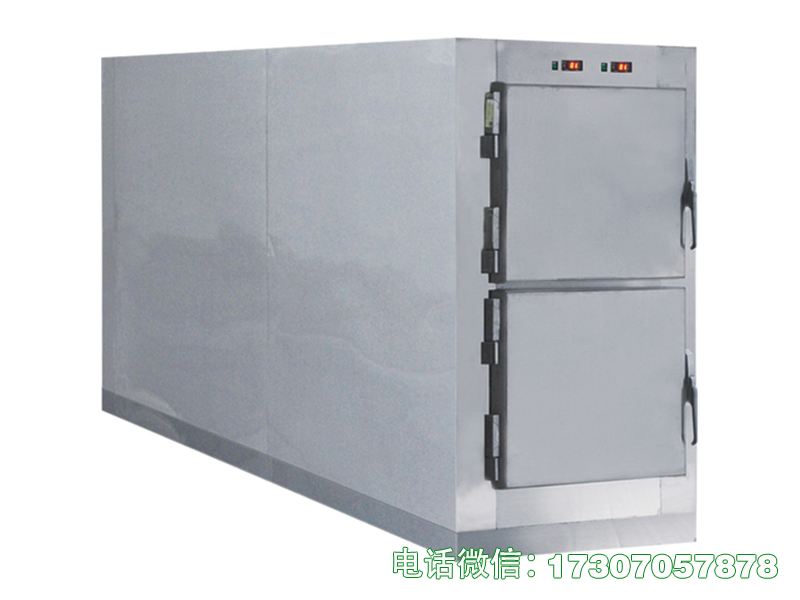 遗体冰冻柜主打深低温冰冻功能，制冷速度迅猛，锁温性能优异，可快速实现遗体冰冻保鲜，有效阻断遗体变质腐败，适配殡仪馆、太平间遗体长效冰冻保存需求。